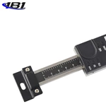 Vertical digital display scale